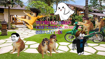 TỔNG HỢP NHẠC CHẾ, THƠ CHẾ SIÊU HÀI HƯỚC KHÔNG NHỊN ĐƯỢC CƯỜI