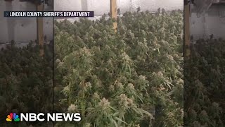 Maine Now A Hot Spot For Marijuana Growing By Chinese Criminal Groups, Officials Say