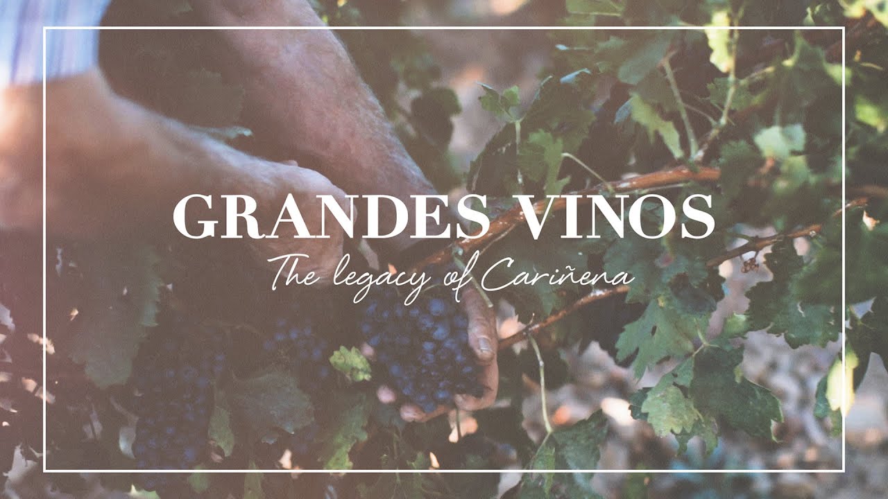 Vídeo conmemorativo del 25 aniversario de Grandes Vinos