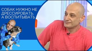 Антуан Наджарян: собак нужно не дрессировать, а воспитывать