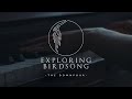 Exploring Birdsong - The Downpour (Official Video)