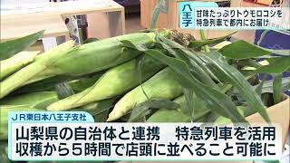 【特急かいじで直送のトウモロコシ販売】