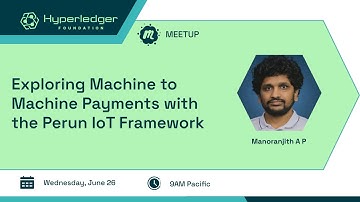 Exploring Machine to Machine Payments with the Perun IoT framework