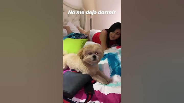 Gomita
