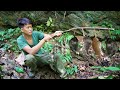 Survive alone in the wilderness, traces of furry wild animals, traps, green forest life, survival