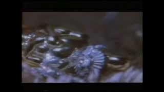 Castle Hendring VHS tape intro - 'the theif' - 1989