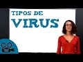 Tipos de virus