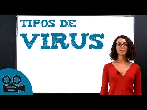 Vídeo: Los Virus Han Aprendido A Controlar El Metabolismo De Sus Víctimas - Vista Alternativa