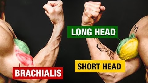 The PERFECT Biceps Workout (Sets and Reps Included)