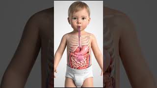 Baby Eating Bubble Gum