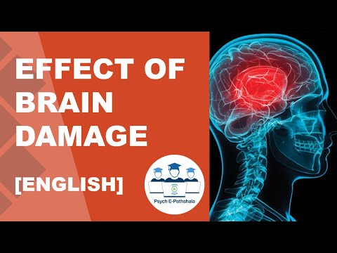 Brain Lobe Damage