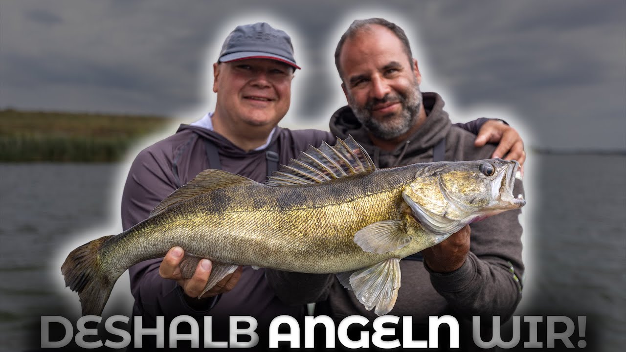 Zwei Freunde auf Angeltour – Mit dem Chef von AngelSpezi in Holland!