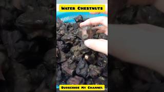 Water Chestnuts?? shortsfeed viral shorts_ trending foryou fruit ytshorts youtubeshorts