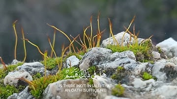 🌹وليال عشر🌹 سورة الفجر 🌹القارئ🌹 يوسف 🌹الصقير 🌹