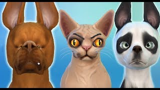 LES CHIENS ET LES CHATS LES PLUS MOCHES ! screenshot 5