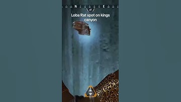 For the rats this season lol #apexlegends #apex #gamer #fps #loba #ranked