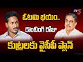   ysrcp big plan  sajjala ramakrishna reddy  ysrcp  ap votes counting  tv5 news