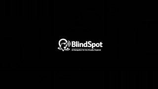 BlindSpot Demo — Assistive Walking Navigation for Visually Impaired Users