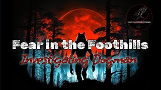 I went searching for the DOGMAN and captured something amazing!