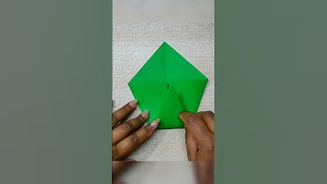 Easy Origami Duck 🦆