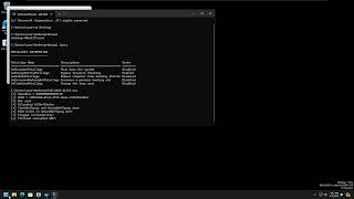 CVE 2025 21333