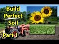 HOW to BUILD, EASY, CHEAP, Healthy Organic Garden Soil with 20,000 Sunflowers & Winter Rye Mix #1