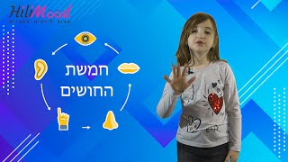 הילימוד - חמשת החושים | הסבר לילדים