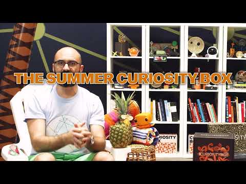 The Summer Curiosity Box - The Summer Curiosity Box