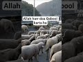 Allah harr doa qabool karta ha#foryou #trending #viral #love ...