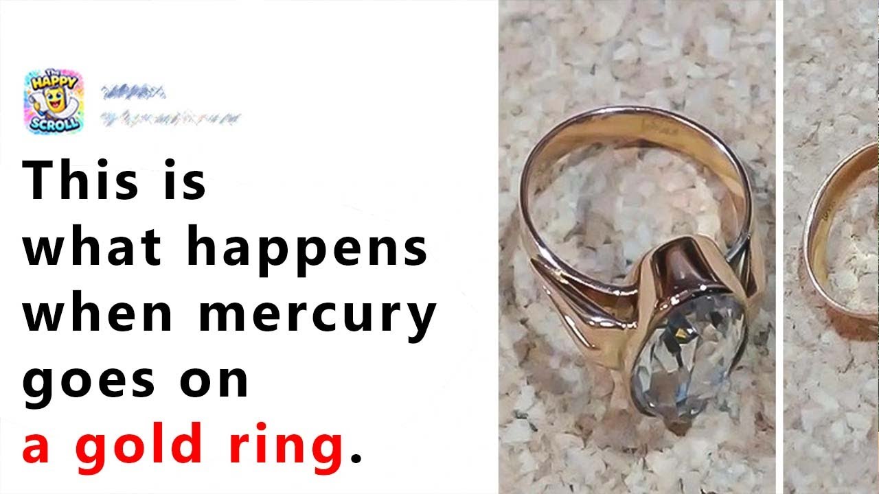 Photos That Perfectly Answer the “What Happens If   ” Question New Pics