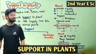 Support in plants | Tonoplast | Class 12 Biology