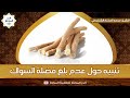 تنبيه حول عدم بلع الصائم فضلة السواك للشيخ محمد المختار الشنقيطي