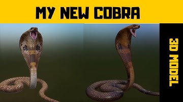 My New Cobra 3D Model!!!