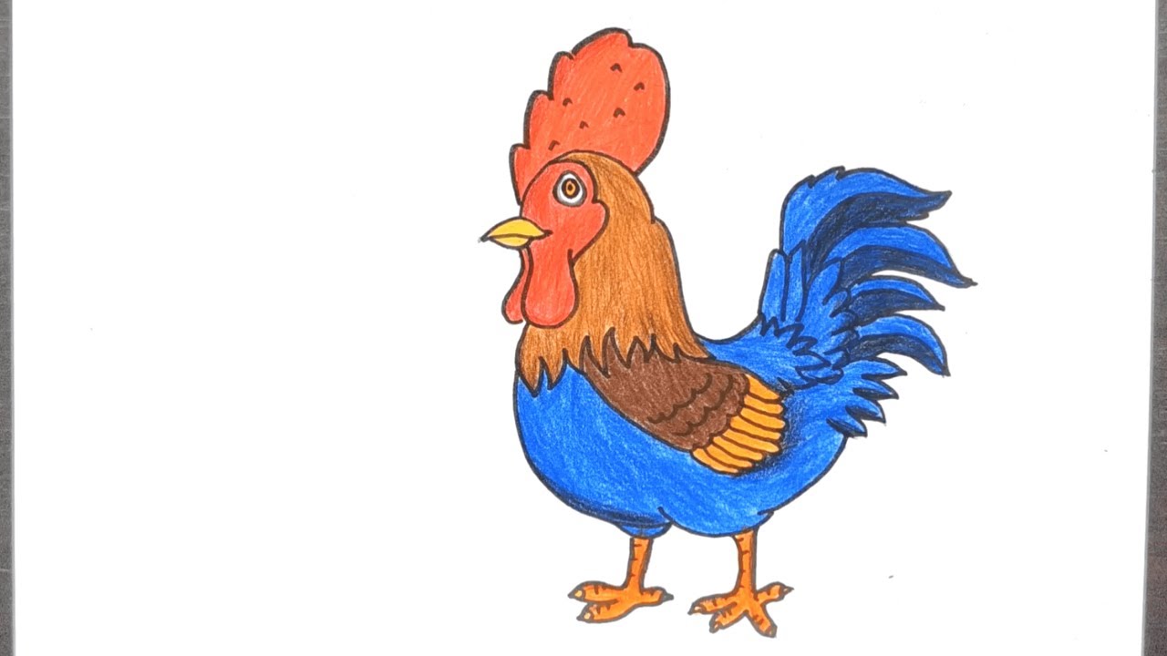 How to draw Rooster/Cock?