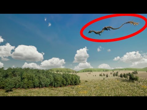 Видео: Откъде идва митът за дракона?