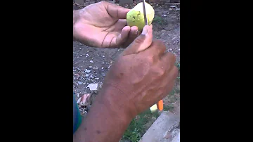 Tem que descascar goiaba para comer?