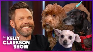 Joel McHale & Kelly Clarkson Show Staff Pets Run Wild!