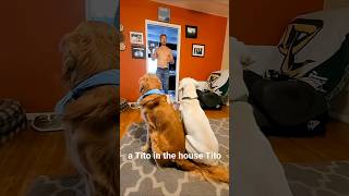 Celebrity Dinner with Shadow & Chance 🍔 with special guest Tito and Trevor Donovan 🍛 #doglife Net Worth