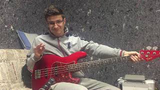 Red Hot Chili Peppers - Power of Equality (bass cover)