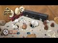 CAT TV NO ADS 🐭 The Leaf-Rustle Chronicles: High-Fidelity Audio & Video Pet Nanny | 4K 60FPS