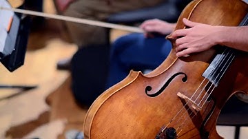 Connecting performers across the globe