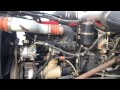 1995 Pete 379 N14 Engine Running 1