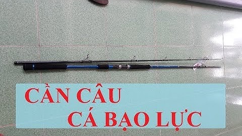 CẦN CÂU BẠO LỰC CHUYÊN CÁ TRA VÀ CÁ BÔNG LAU | HUYNH KHOA FISHING