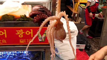 live octopus cooking - sannakji / korean street food