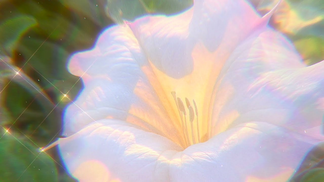 Tishmal - Intuition (Official Audio)