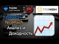 Криптекс VS NiceHash Анализ Плюсы и минусы платформ Декабрь 2017