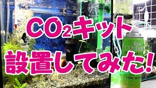 テトラCO2キット設置してみた!! 【安い・簡単】