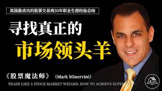 Trade Like a Stock Market Wizard: Break Old Market Myths and Find the True Leaders