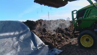 Sustainably Speaking Local Businesses Helping Divert Food From Landfills