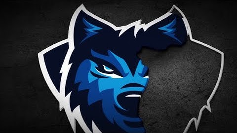 Logo Reveal After Effects Templates